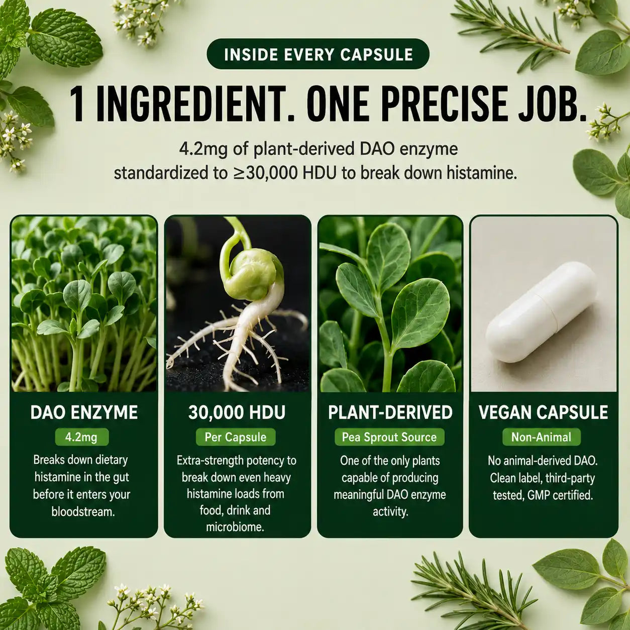 VOURGANIC® DAO Enzyme